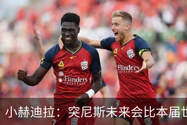 小赫迪拉：突尼斯未来会比本届世界杯更好 批评？我已经付出全力