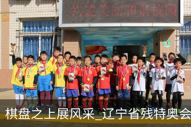 棋盘之上展风采 辽宁省残特奥会象棋比赛在葫芦岛开赛